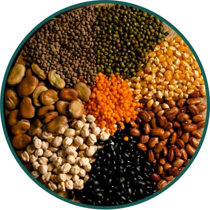 Dals & Pulses