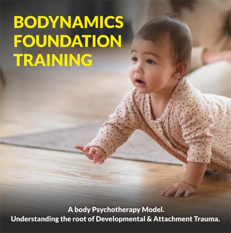 Bodynamics Foundation Training