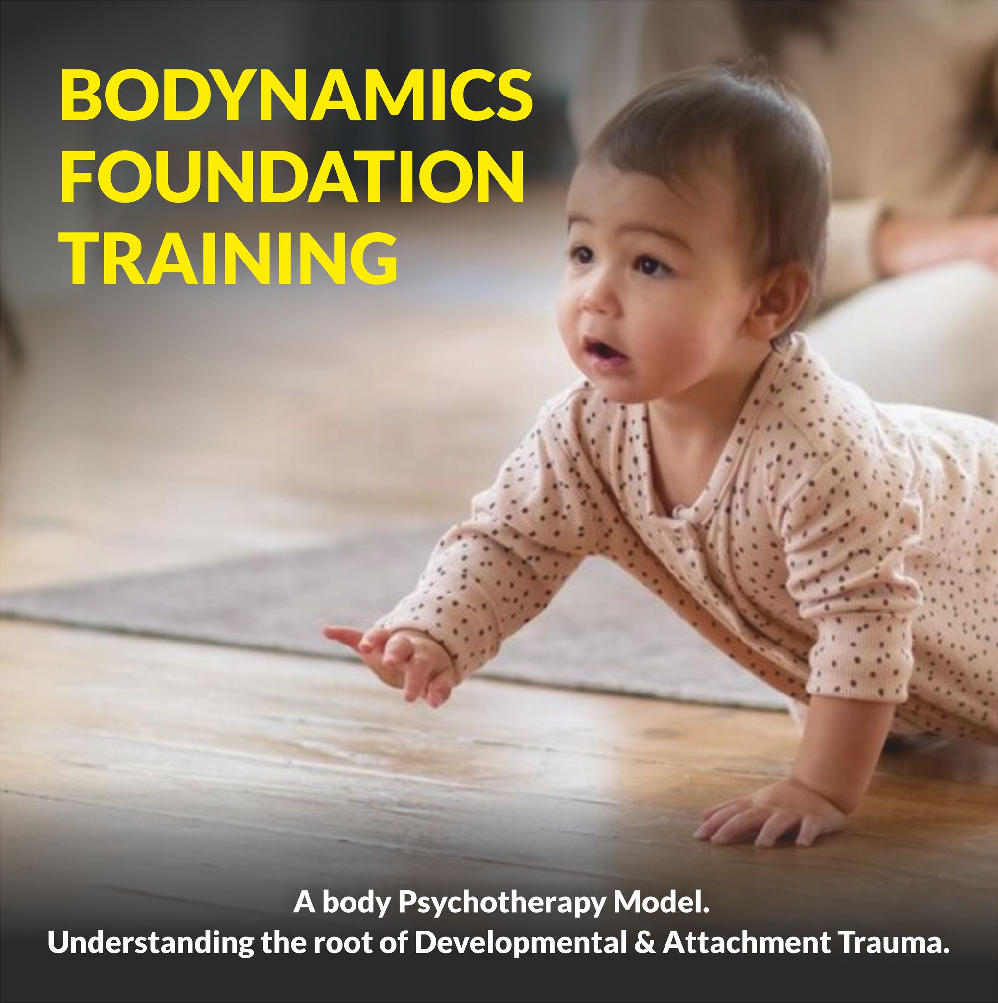 Bodynamics Foundation Training