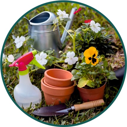 Pots & Planters