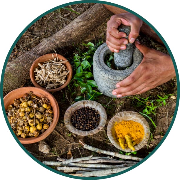 Ayurveda