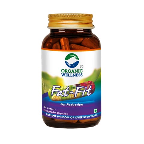 Organic Wellness Fat Fit 90 Capsules