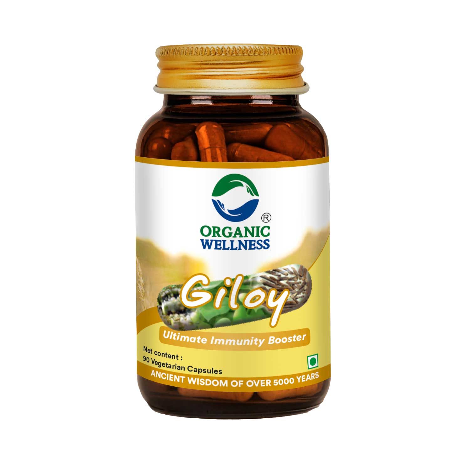 Organic Wellness Giloy 90 Capsules