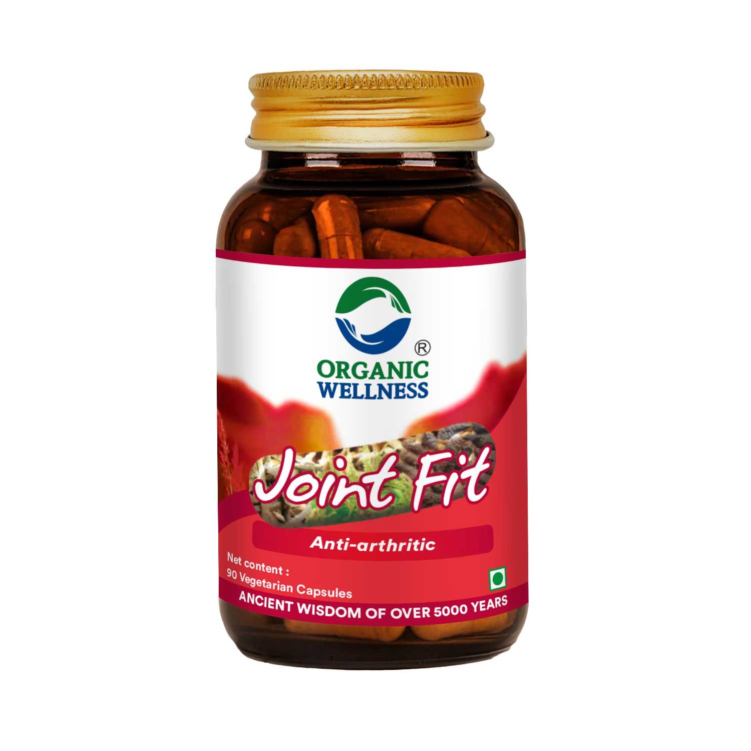 Organic Wellness Joint Fit 90 Capsules