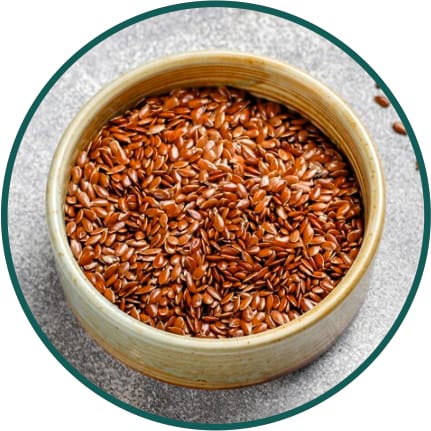 Flax Seeds