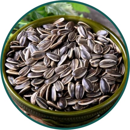 Sunflower Seeds