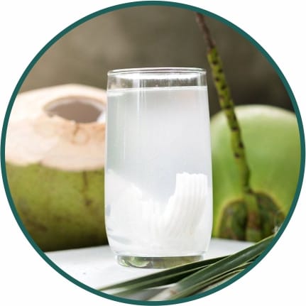 Coconut Water