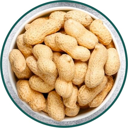 Peanuts / Groundnuts