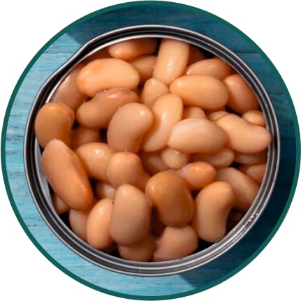 Canned Baked Beans