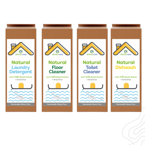 Ahinsa Care Natural Home Cleaners Regular Kit : 4products